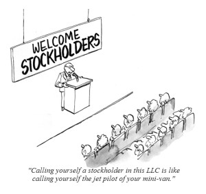 Can llc issue stock options