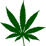 weed-hi