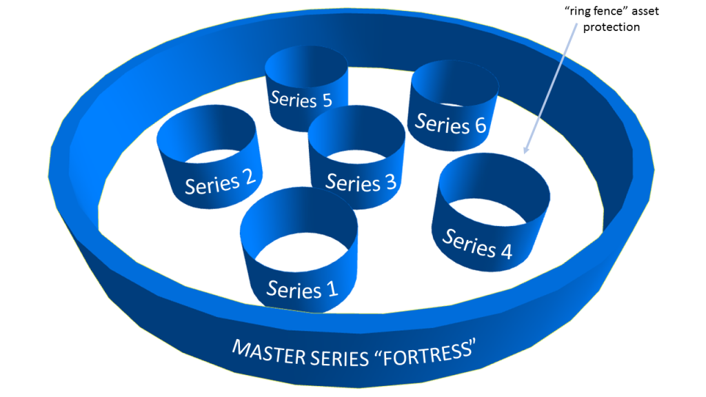 Delaware Series LLC Structure