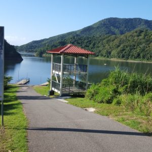 lagocerillos