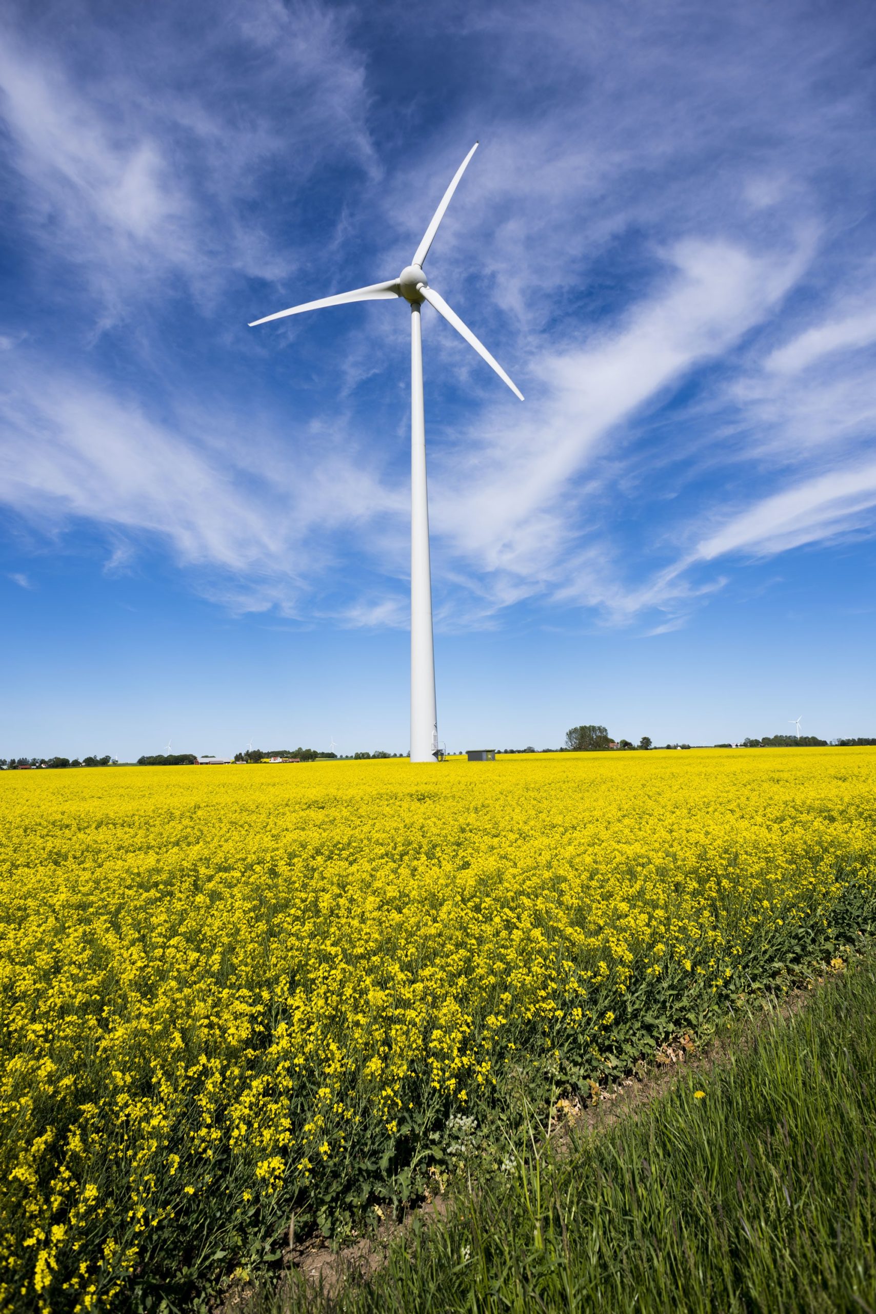 windmill sustainable