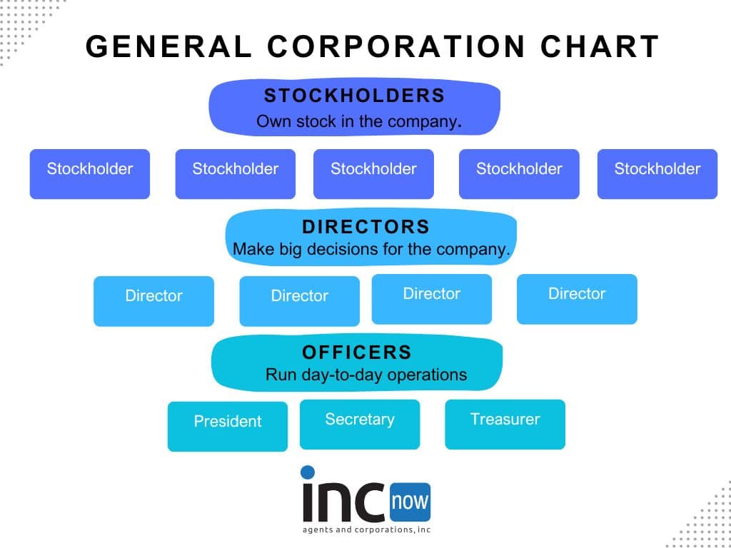 organizational chart for a general corporation with stockholders, directors and officers